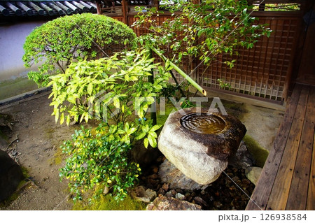 京都府　東寺 観智院・手水鉢 蹲踞　京都市 南区 九条町　2022年2月 126938584