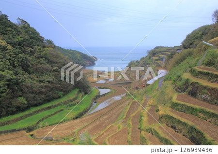 浜野浦の棚田 浜野浦の棚田 126939436