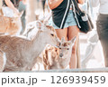 耳打ちする鹿 126939459