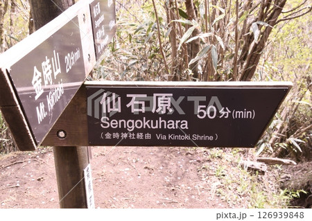 金時山登山 道路標識 金時山登山 道路標識 126939848