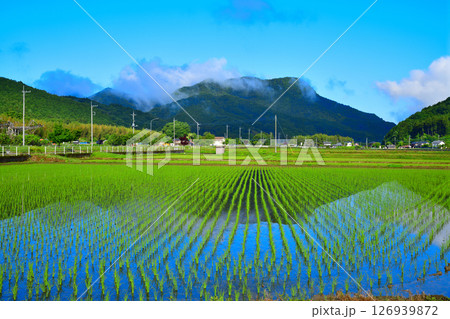 早朝の里山　鏡写り　新緑の田園風景　栃木市大久保町付近 126939872