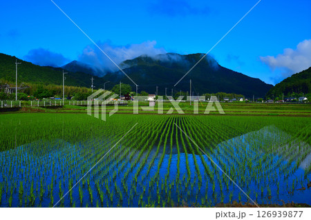 早朝の里山 鏡写り 新緑の田園風景 栃木市大久保町付近 早朝の里山 鏡写り 新緑の田園風景 栃木市大久保町付近 126939877