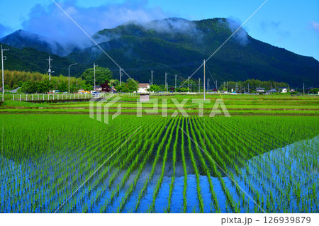 早朝の里山 鏡写り 新緑の田園風景 栃木市大久保町付近 早朝の里山 鏡写り 新緑の田園風景 栃木市大久保町付近 126939879