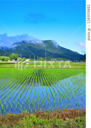 早朝の里山　鏡写り　新緑の田園風景　栃木市大久保町付近 126939881