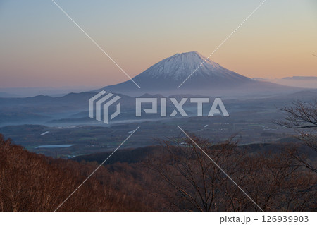 ポロモイ山から望む朝焼けの羊蹄山の麓の雲海 126939903