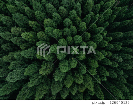 Aerial view of beautiful high altitude forest  mountain landscape 126940123