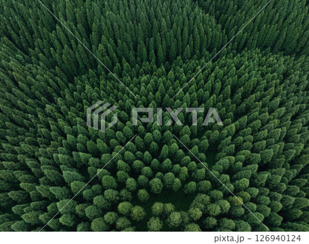 Aerial view of beautiful high altitude forest  mountain landscape 126940124