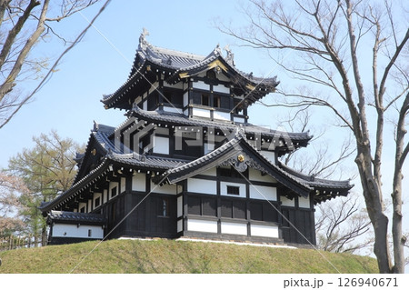 高田城址公園の満開桜 高田城址公園の満開桜 126940671