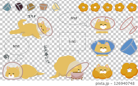 一隻戴著項圈的貓的插圖 126940748