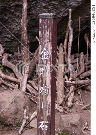 金時山登山 金時の宿り石 標識 金時山登山 金時の宿り石 標識 126940851