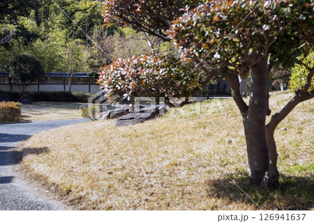 大川沿いにある藤田邸跡公園 大川沿いにある藤田邸跡公園 126941637