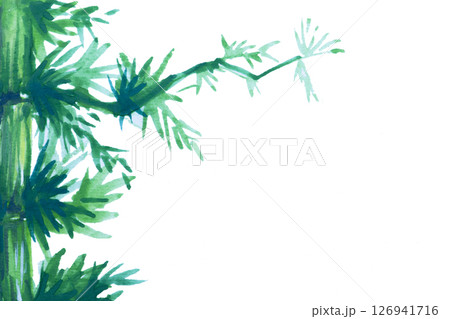 Green bamboo stems and leaves isolated on white background. Watercolor hand drawn Green bamboo stems and leaves isolated on white background. Watercolor hand drawn 126941716