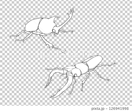 犀牛甲蟲和鍬形蟲的寫實線條畫插圖集 126941998
