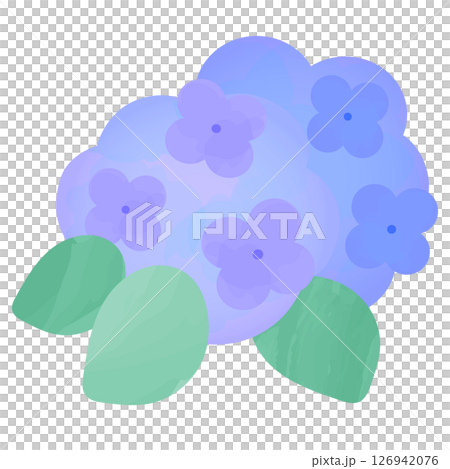 Illustration of hydrangea in watercolor style 126942076