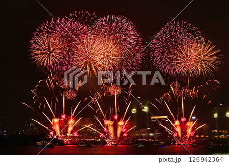 夜の花壇 126942364