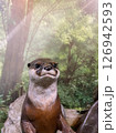 立っているカワウソ 126942593