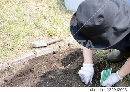 家庭菜園でインゲンの種を植える70歳代女性の手元 126942668