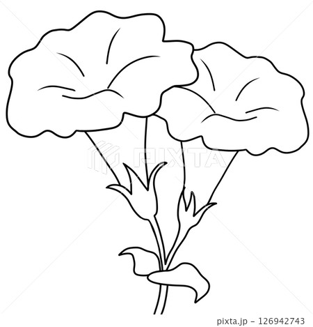 Drawing of Feverroot Flower in Black and White for Coloring 126942743