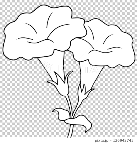 Drawing of Feverroot Flower in Black and White for Coloring 126942743