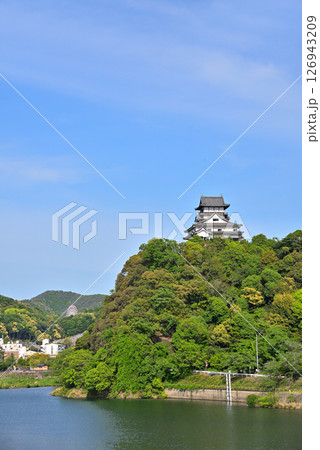 《愛知県》新緑に映える国宝犬山城と木曽川 126943209