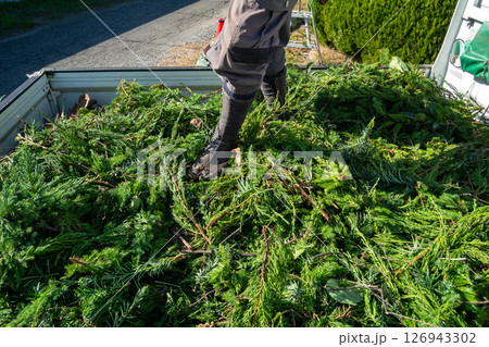 軽トラに積み込んだ植木ごみ 126943302