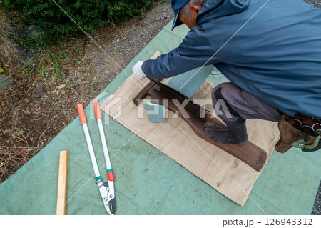 リュウゼツランの葉を押し切りカッターで細かくする 126943312