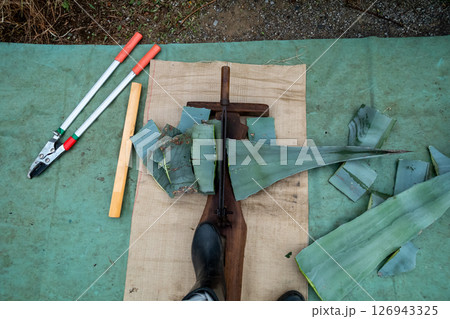 リュウゼツランの葉を押し切りカッターで細かくする 126943325