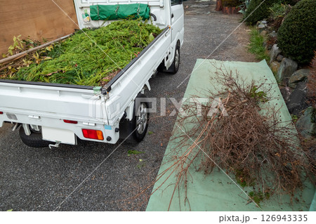 剪定ごみ　植木ごみ 126943335