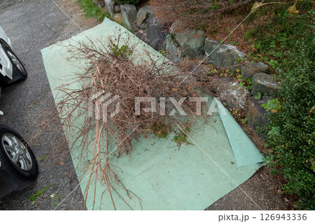 剪定ごみ　植木ごみ 126943336