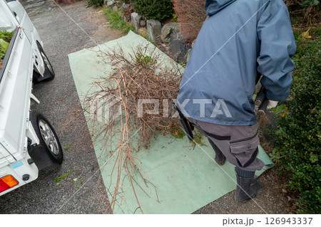 剪定ごみ 植木ごみ 剪定ごみ 植木ごみ 126943337