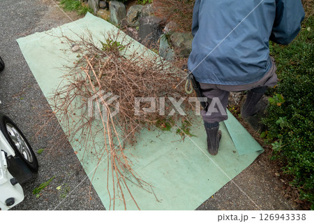 剪定ごみ 植木ごみ 剪定ごみ 植木ごみ 126943338