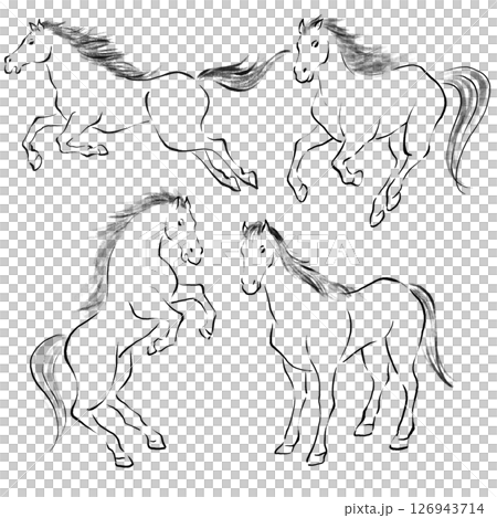 Year of the Horse - Horse illustration set drawn with a brush, ink painting Year of the Horse - Horse illustration set drawn with a brush, ink painting 126943714