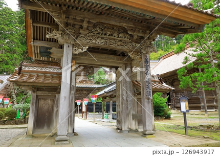 龍澤山　善寳寺　総門 126943917