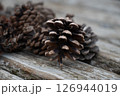 ベンチに置いてある松ぼっくり 126944019