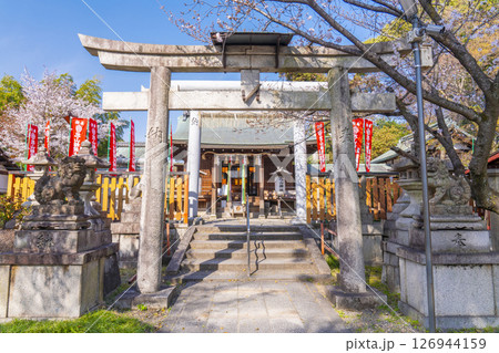 京都山科　花山稲荷神社　本殿 126944159