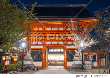 京都　八坂神社　南楼門と夜桜 126944160