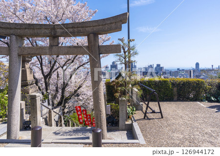 春の神戸 北野天満神社 満開の桜に包まれた石段の参道 春の神戸 北野天満神社 満開の桜に包まれた石段の参道 126944172