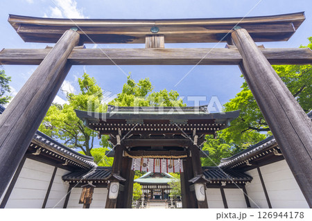 新緑の京都 白峯神宮 神門と鳥居新緑の京都 白峯神宮 神門と鳥居 新緑の京都 白峯神宮 神門と鳥居新緑の京都 白峯神宮 神門と鳥居 126944178