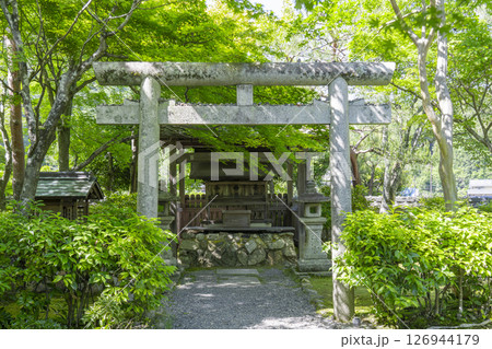 新緑の京都　あだし野念仏寺　天満宮 126944179