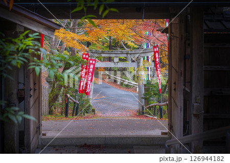 秋の京都 紅葉が美しい双林院(山科聖天) 秋の京都 紅葉が美しい双林院(山科聖天) 126944182