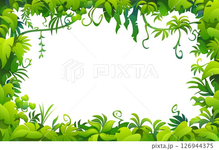 Tropical lianas frame of jungle forest plants, vines and trees branches, vector game background. Cartoon tropical lianas, jungle creeper plants and rainforest trees frame with green leaves borders 126944375