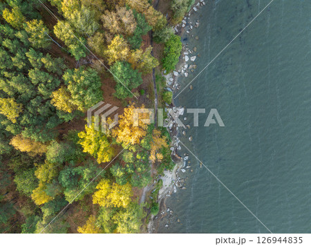 Colorful autumn forest with trees on the shore of a blue lake - top aerial view. 126944835