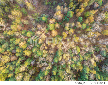 Aerial drone view of stunning colorful autumn fall forest. Aerial drone view of stunning colorful autumn fall forest. 126944841