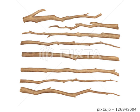Watercolor tree branches isolated on white background. Hand painted illustrations set, wooden brown dry twig 126945004