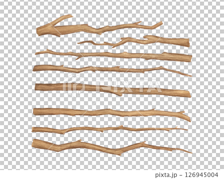 Watercolor tree branches isolated on white background. Hand painted illustrations set, wooden brown dry twig 126945004