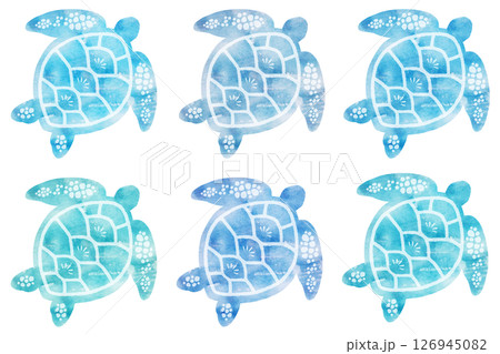 ウミガメ ウミガメ 126945082
