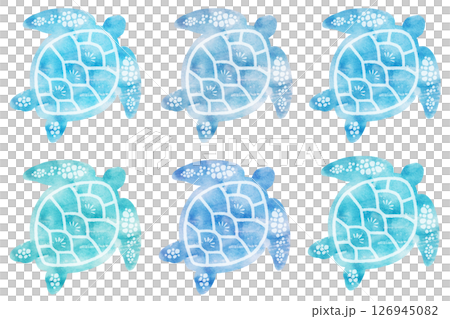 ウミガメ ウミガメ 126945082