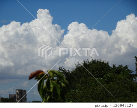 八月の雲-2 八月の雲-2 126945127