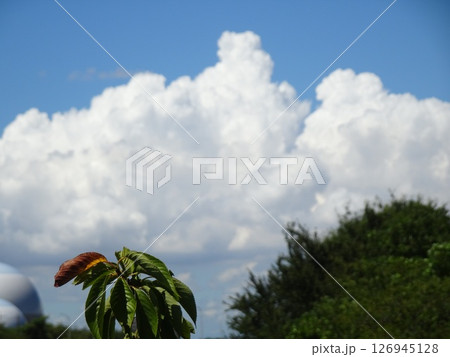 八月の雲-3 八月の雲-3 126945128
