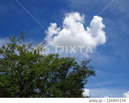 九月の雲-1 九月の雲-1 126945134